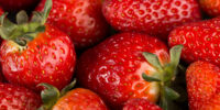 La fraise, fruit de saison phare des Hauts‑de‑France