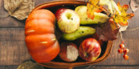 Les produits d’automne : inspiration et approvisionnement local pour la restauration collective